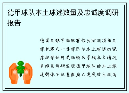 德甲球队本土球迷数量及忠诚度调研报告